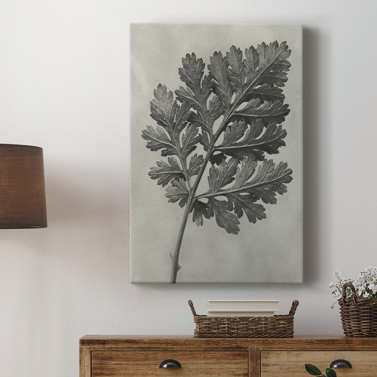 Blossfeldt Botanical III Premium Gallery Wrapped Canvas - Ready to Hang