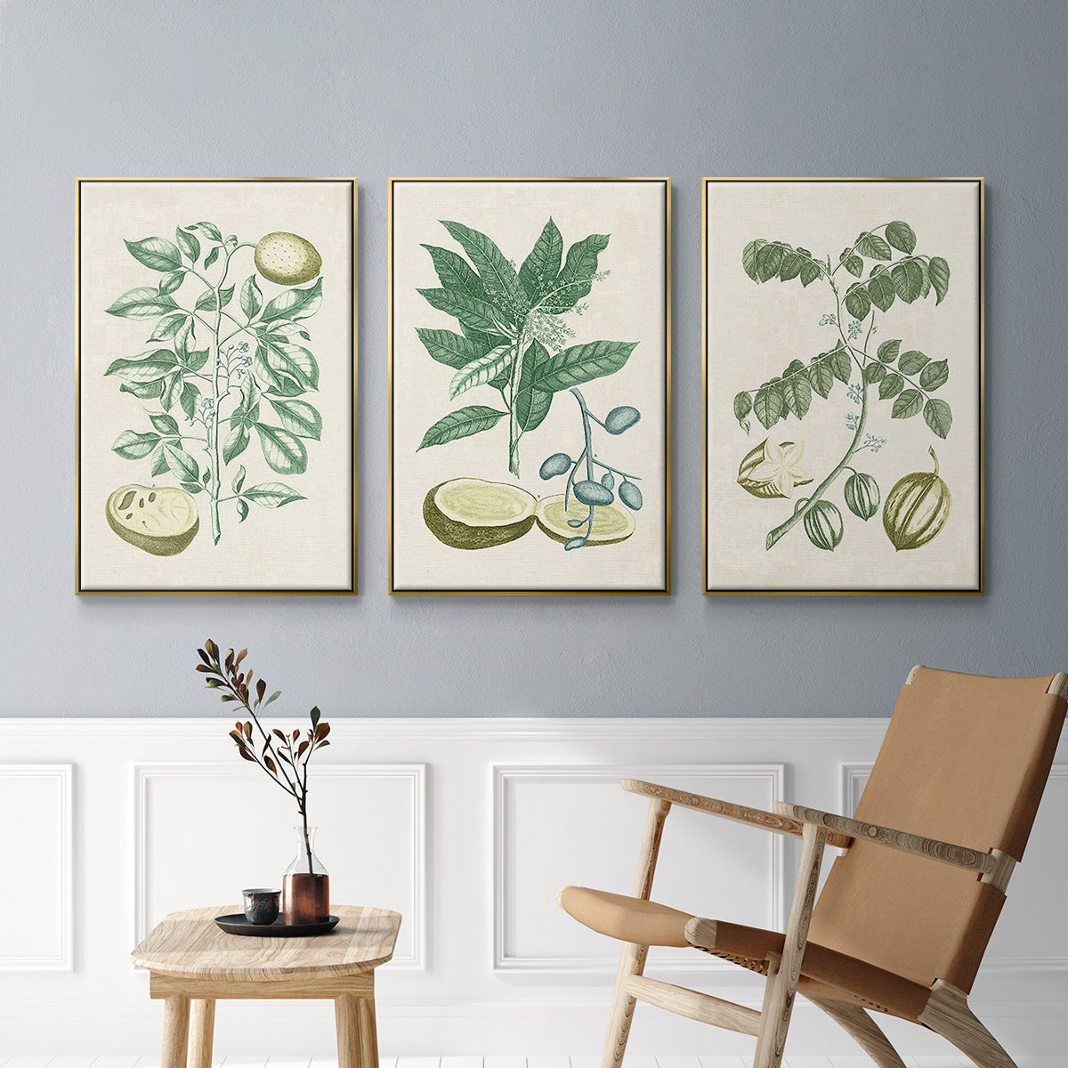 Buchoz Tropicals II - Floater Framed Canvas Set