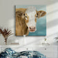 Hereford Stare I-Premium Gallery Wrapped Canvas - Ready to Hang