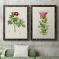 Set of two black barnwood framed canvas prints depicting a coordinated art pair of pink flowering plant specimens rendered as vintage botanical plate illustrations above a sofa in a modern living room.