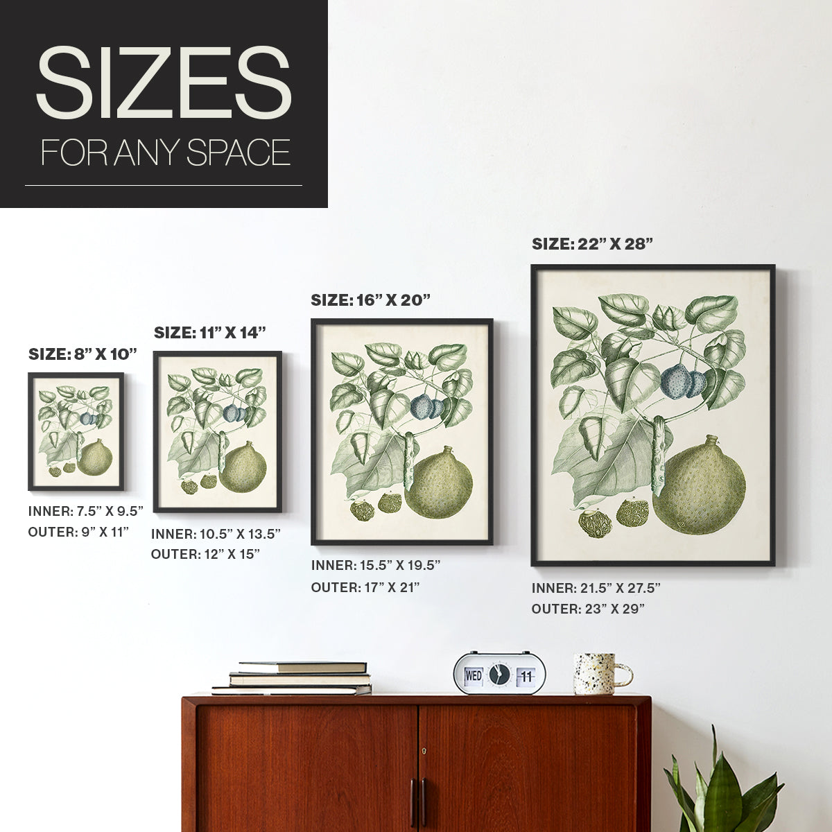 Buchoz Tropicals VIII - Restickable Framed Art Print