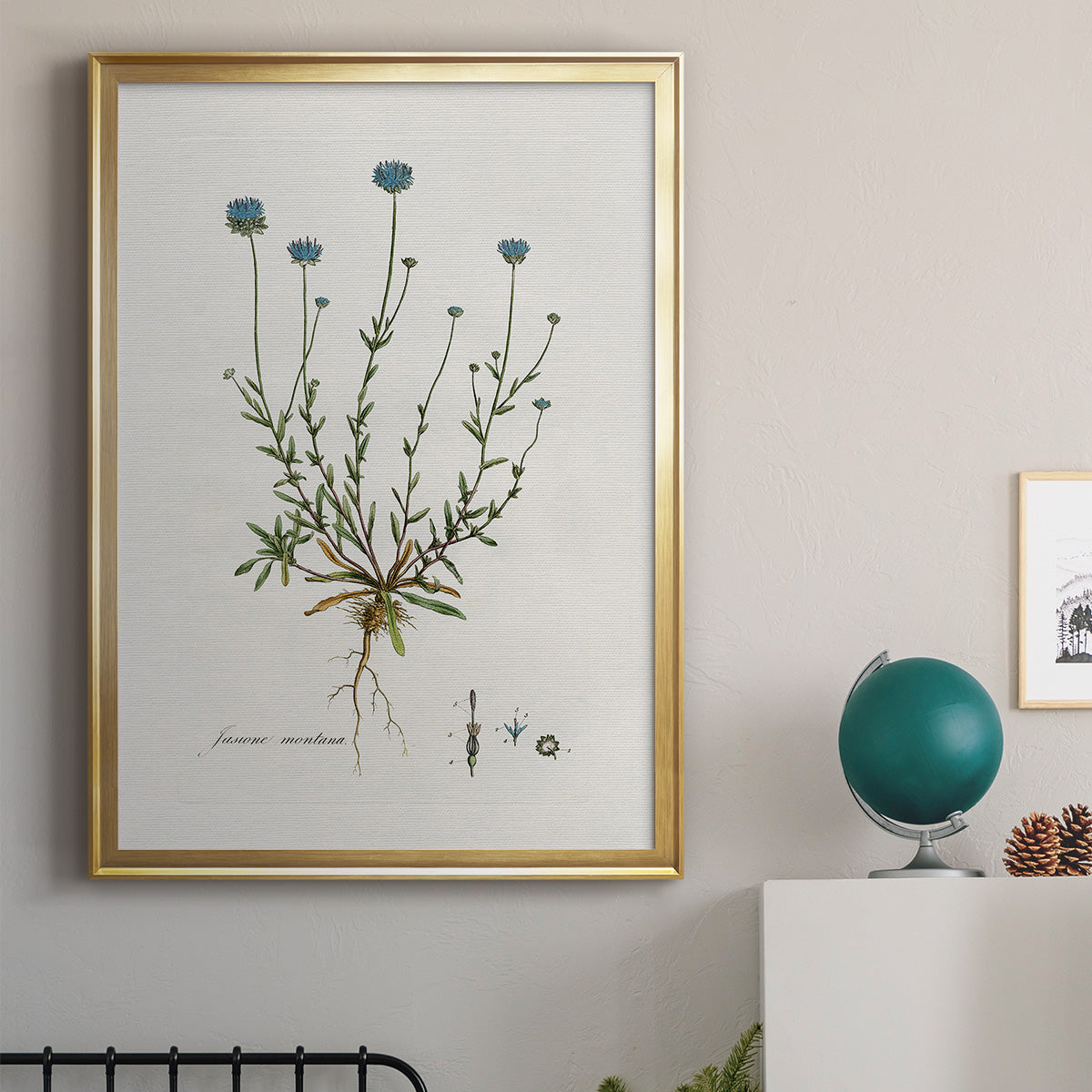 Bellflower Study - Modern Framed Canvas Print