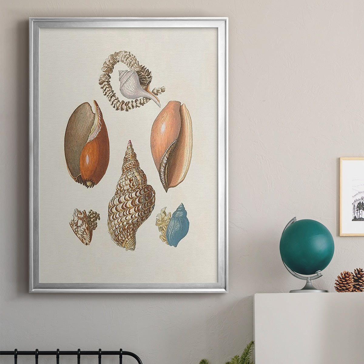 Knorr Shells & Coral I - Modern Framed Canvas Print