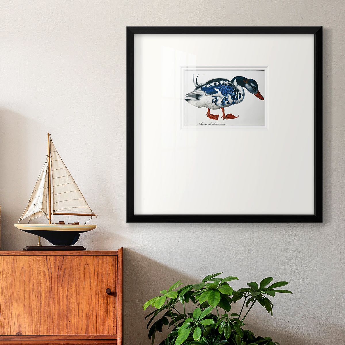 Blue Mallard Premium Framed Print Double Matboard