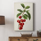 Antique Fruit II Premium Gallery Wrapped Canvas - Ready to Hang