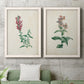 Traditional Botanical I - Premium Framed Canvas 2 Piece Set - Ready to Hang