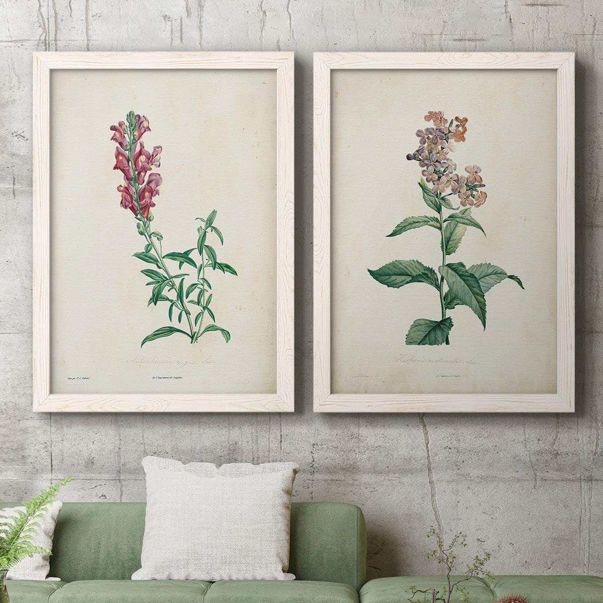 Traditional Botanical I - Premium Framed Canvas 2 Piece Set - Ready to Hang