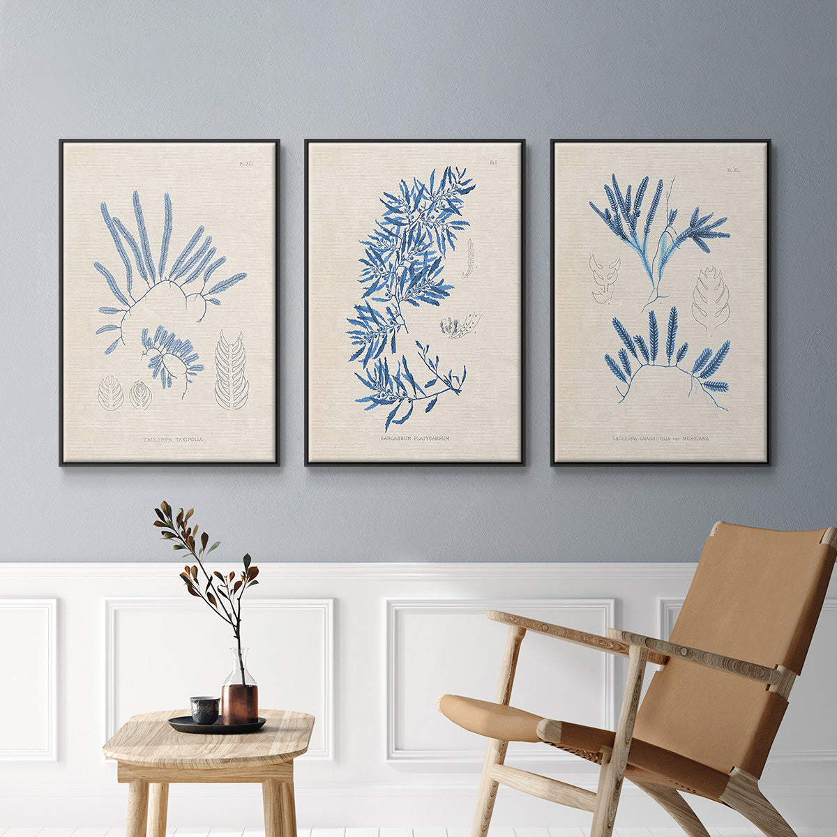 Blue Marine Algae I - Framed Premium Gallery Wrapped Canvas L Frame 3 Piece Set - Ready to Hang