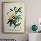 Turpin Tropical Botanicals VI - Modern Framed Canvas Print