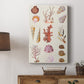 Coral & Shell Collage II - Canvas Art Print