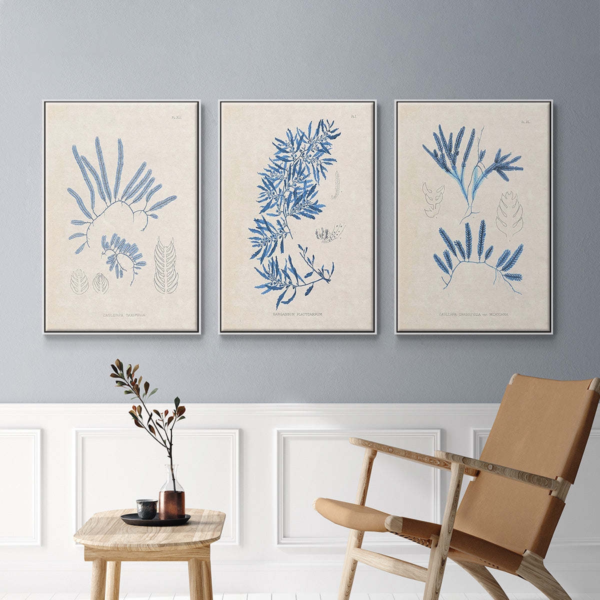 Blue Marine Algae I - Framed Premium Gallery Wrapped Canvas L Frame 3 Piece Set - Ready to Hang