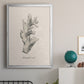 Shore Treasure Study II - Modern Framed Canvas Print