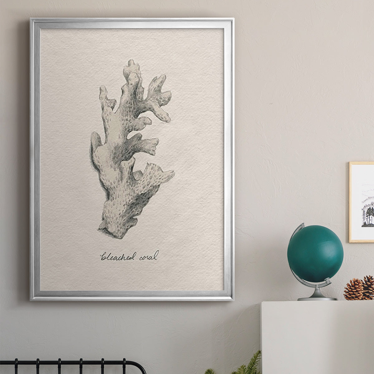 Shore Treasure Study II - Modern Framed Canvas Print