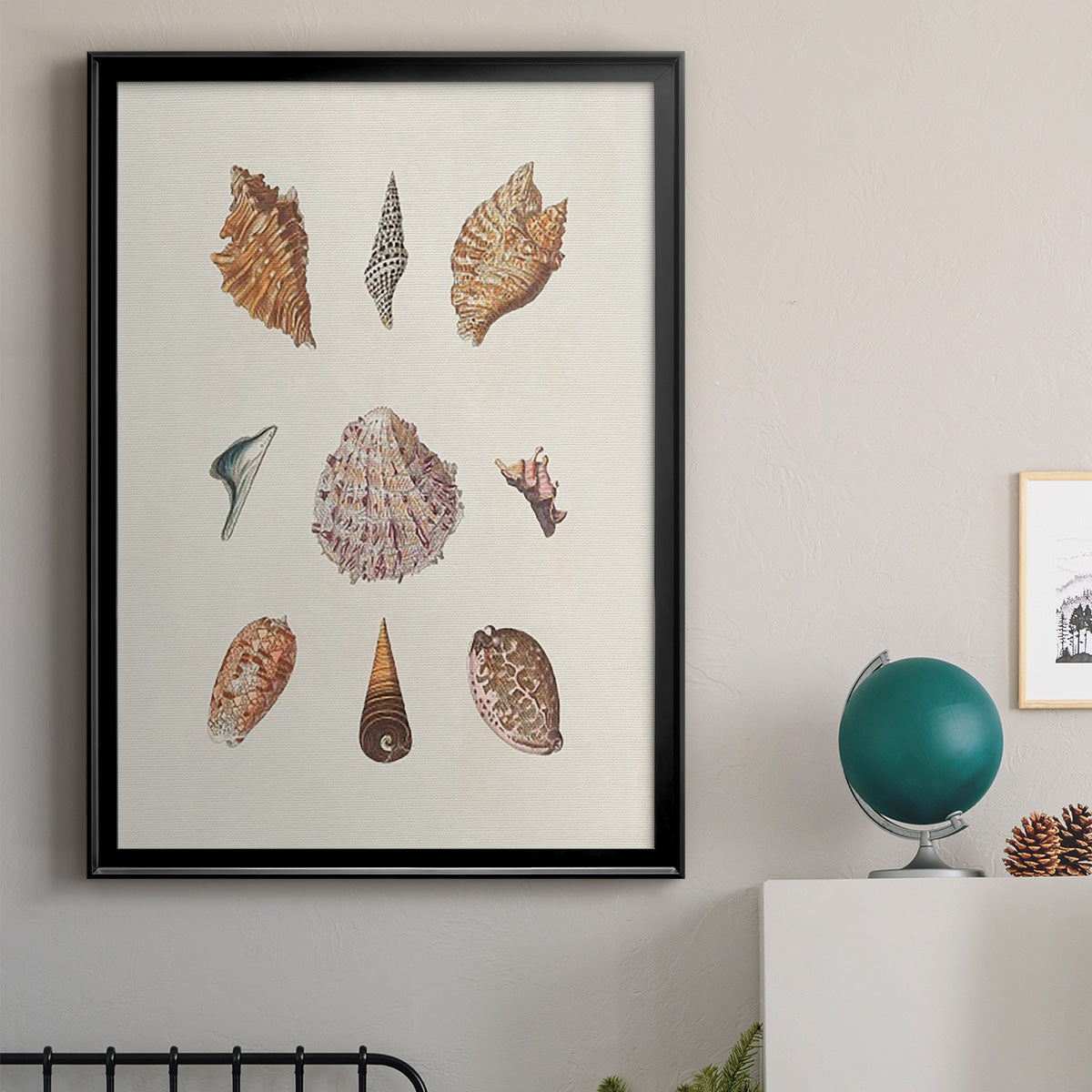 Knorr Shells & Coral VI - Modern Framed Canvas Print