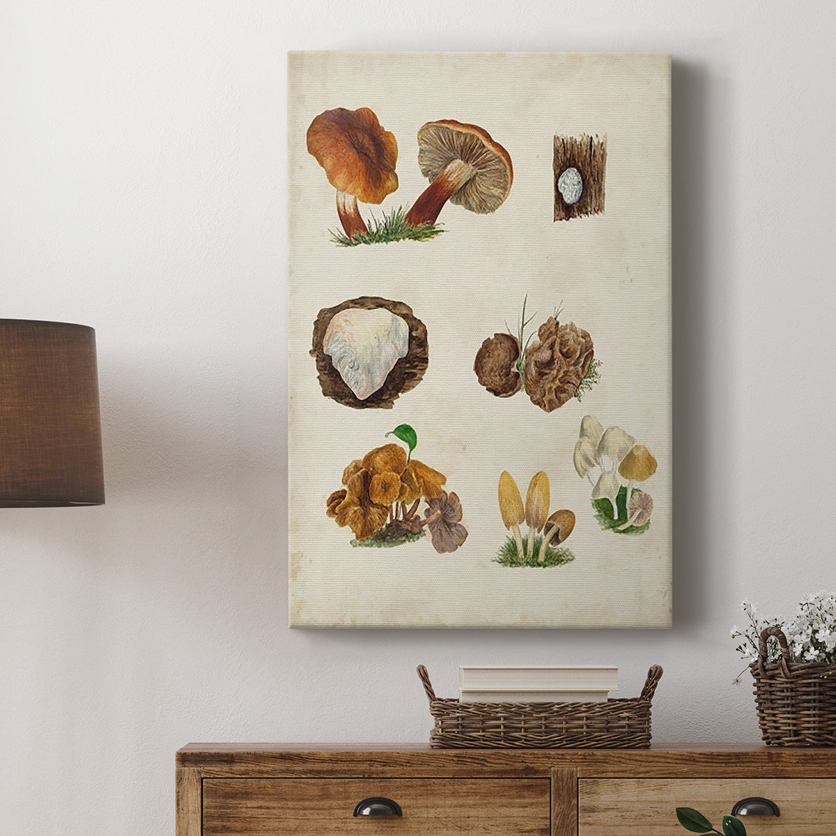 Mushroom Species I Premium Gallery Wrapped Canvas - Ready to Hang