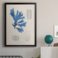 Blue Marine Algae VIII - Modern Framed Canvas Print