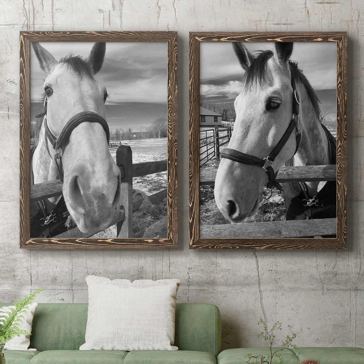 Set of two walnut barnwood framed canvas prints depicting a coordinated art pair of black-and-white close-up portraits of horses at fences rendered as modern equestrian photography above a sofa in a modern living room.