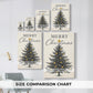 Pearled Blessing of Fir - Canvas Art Print