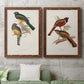 Elegant Trogons III - Premium Framed Canvas 2 Piece Set - Ready to Hang