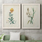 Traditional Botanical III - Premium Framed Canvas 2 Piece Set - Ready to Hang