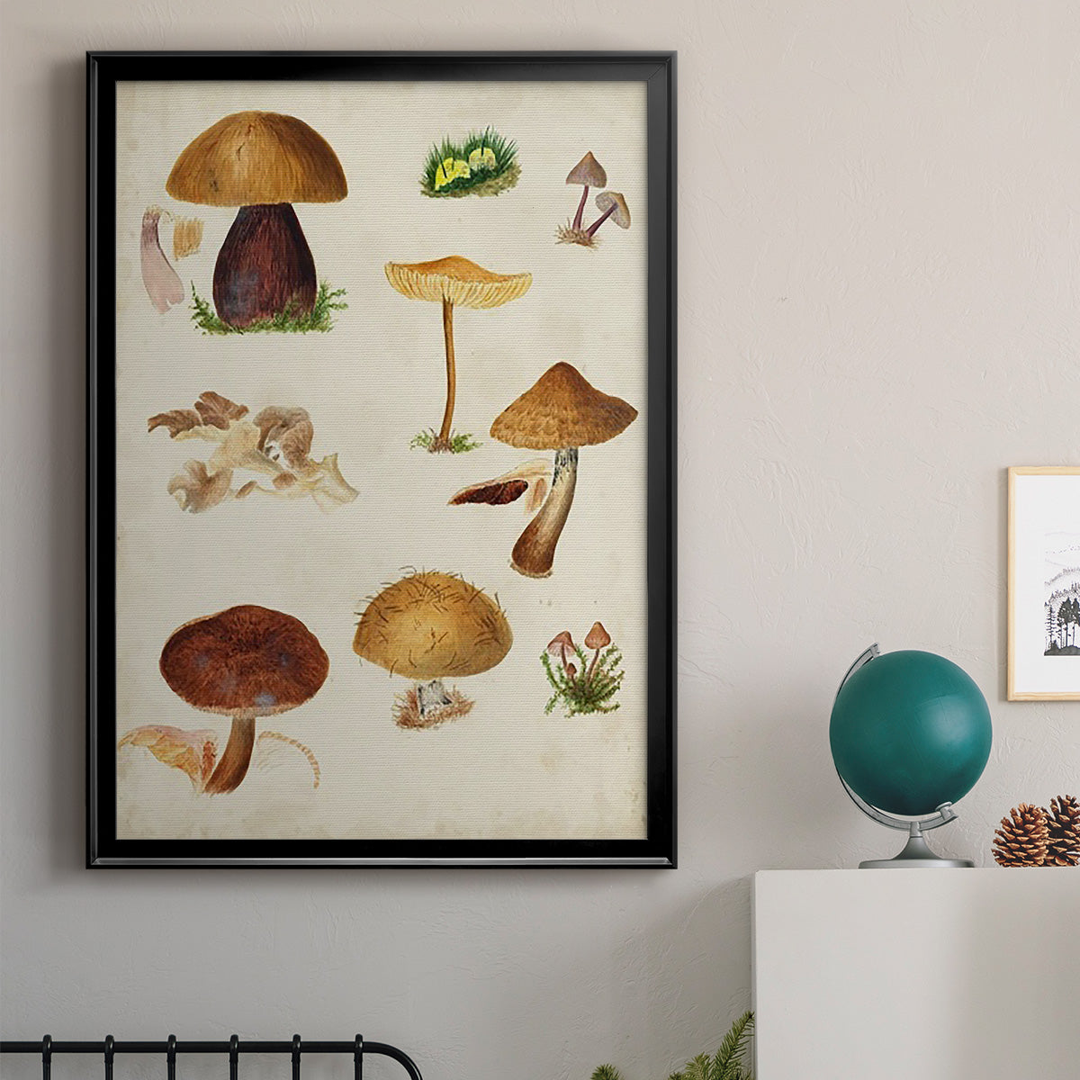 Mushroom Species II - Modern Framed Canvas Print