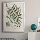 Botanical Society Ferns X - Modern Framed Canvas Print