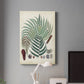 Collected Ferns I Premium Gallery Wrapped Canvas - Ready to Hang