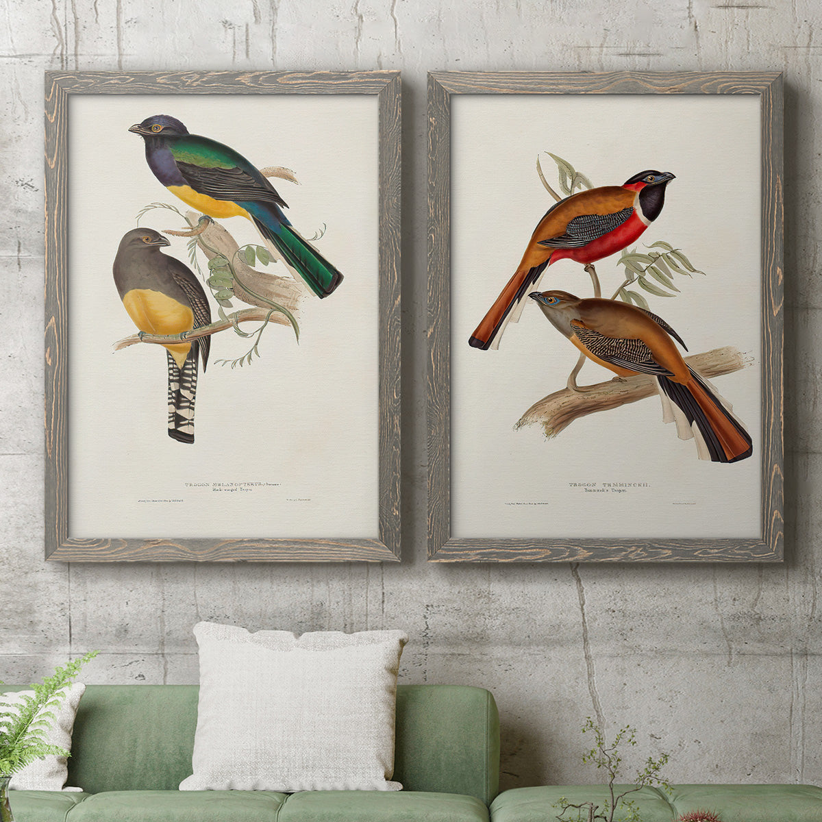 Elegant Trogons III - Premium Framed Canvas 2 Piece Set - Ready to Hang