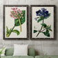 Set of two black barnwood framed canvas prints depicting a coordinated art pair of colorful flowering plant specimens rendered as antique botanical plate illustrations above a sofa in a modern living room.