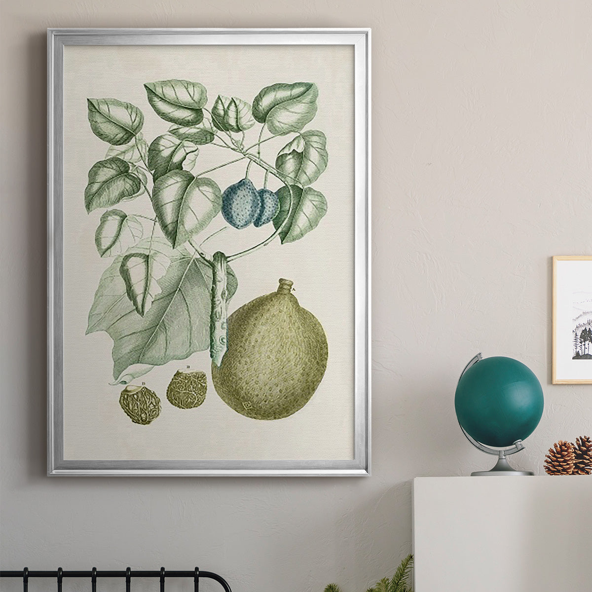 Buchoz Tropicals VIII - Modern Framed Canvas Print