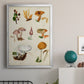 Mushroom Species VI - Modern Framed Canvas Print