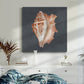 Shell on Slate IX - Canvas Art Print