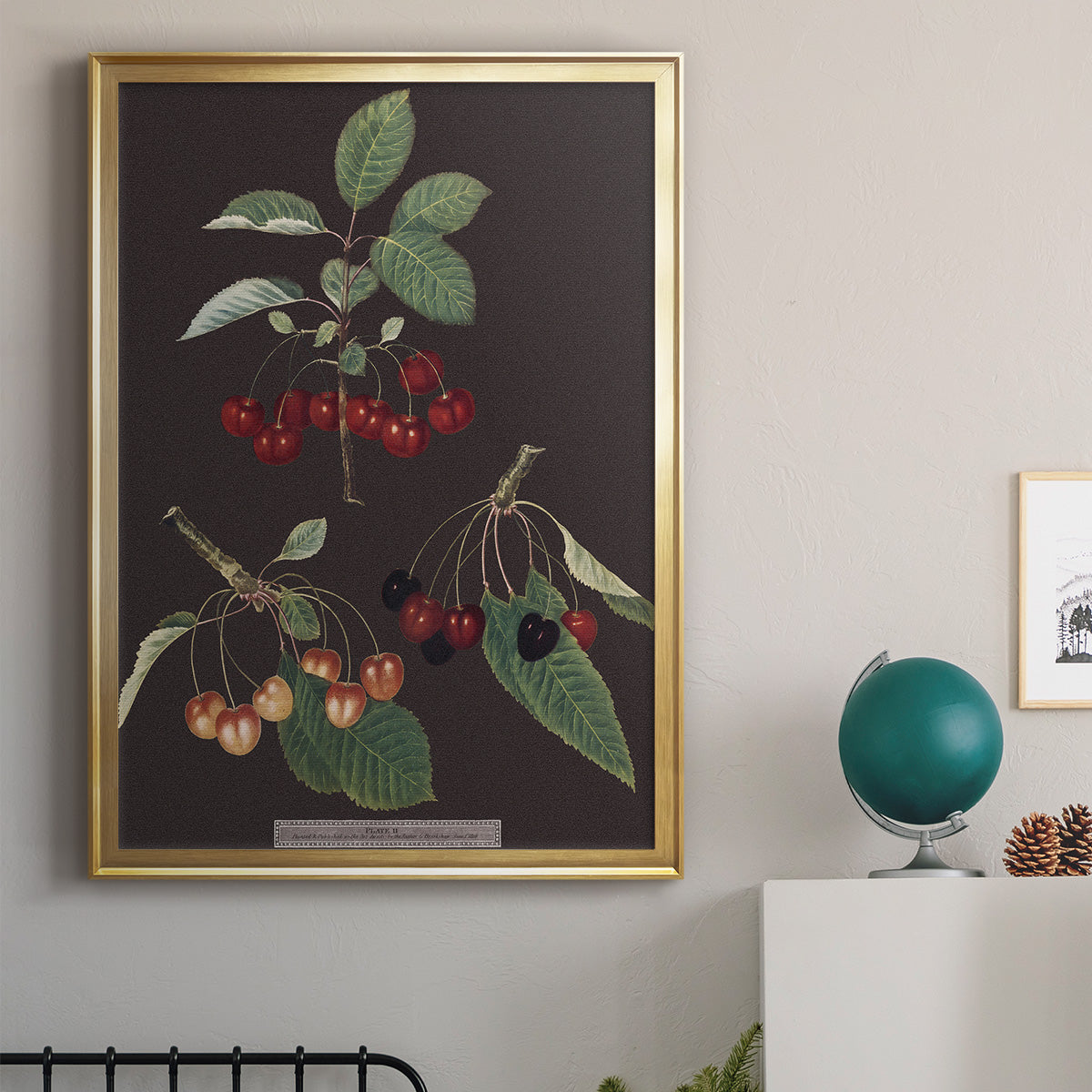Brookshaw Cherries - Modern Framed Canvas Print