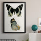 Antique Blue Butterflies I - Modern Framed Canvas Print