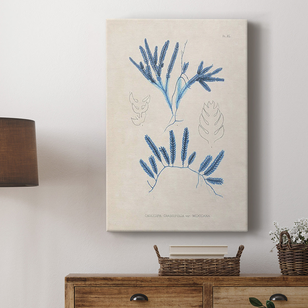 Blue Marine Algae I Premium Gallery Wrapped Canvas - Ready to Hang