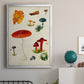 Mushroom Species VIII - Modern Framed Canvas Print