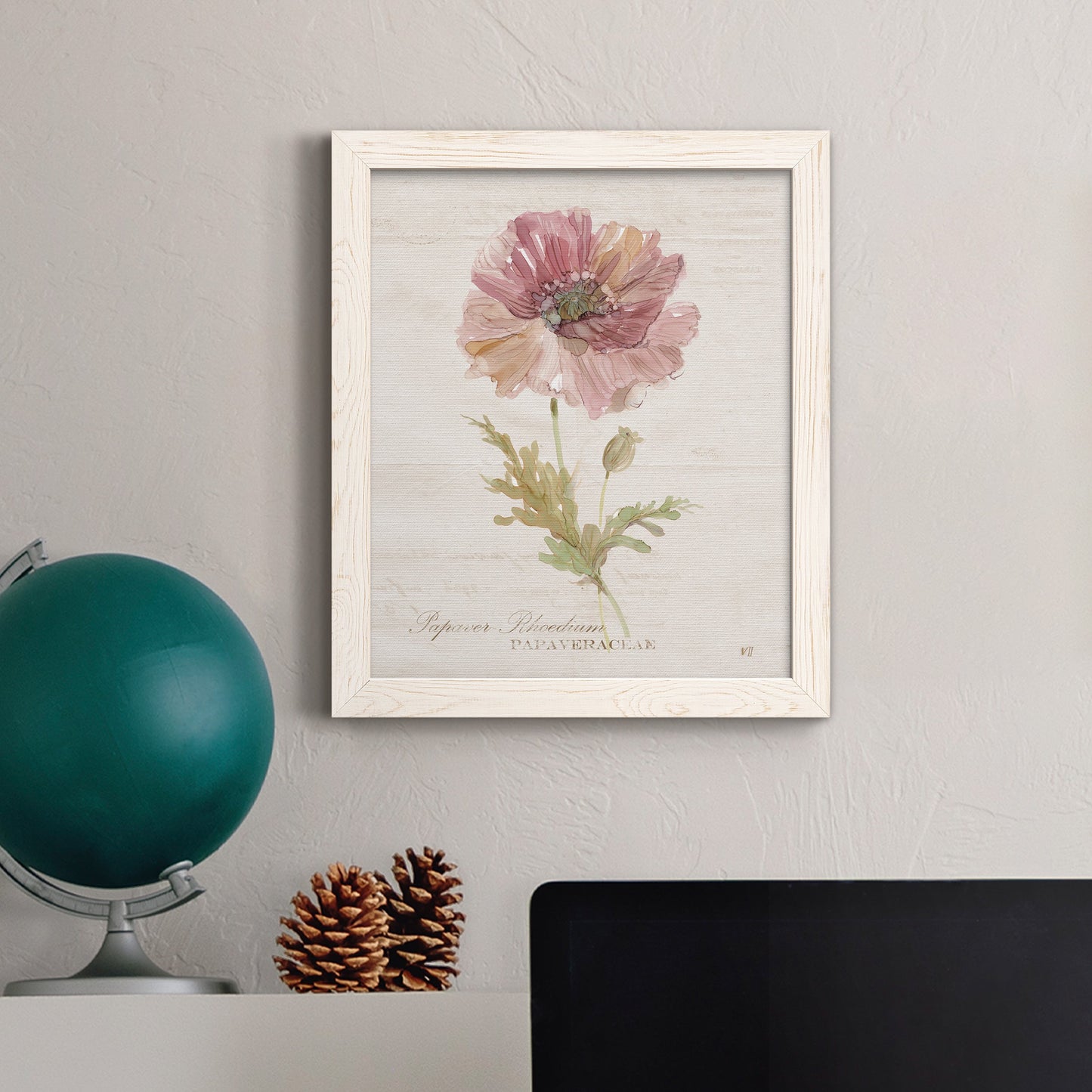 Soft Poppy - Premium Canvas Framed in Barnwood - Ready to Hang