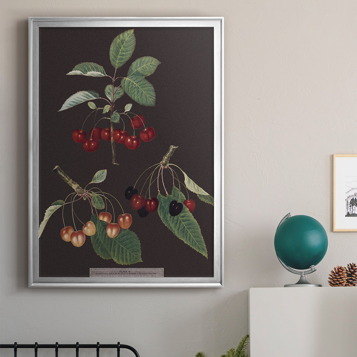 Brookshaw Cherries - Modern Framed Canvas Print