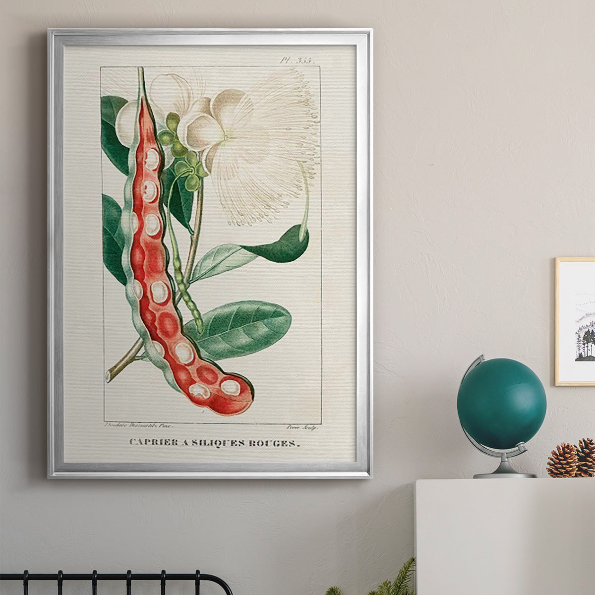 Turpin Tropical Botanicals VIII - Modern Framed Canvas Print