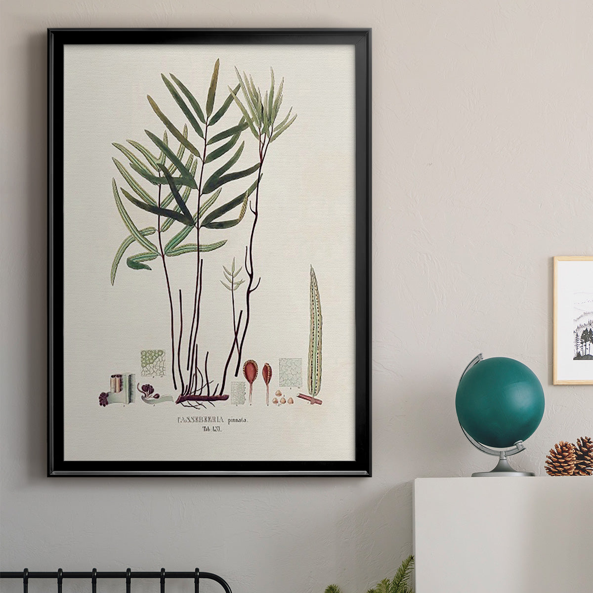 Botanical Society Ferns XI - Modern Framed Canvas Print