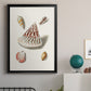 Pastel Knorr Shells VII - Modern Framed Canvas Print