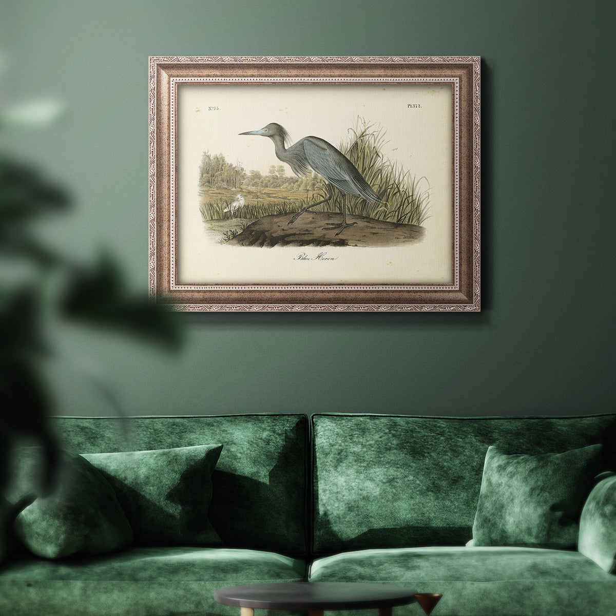 Audubons Blue Heron Premium Framed Canvas- Ready to Hang