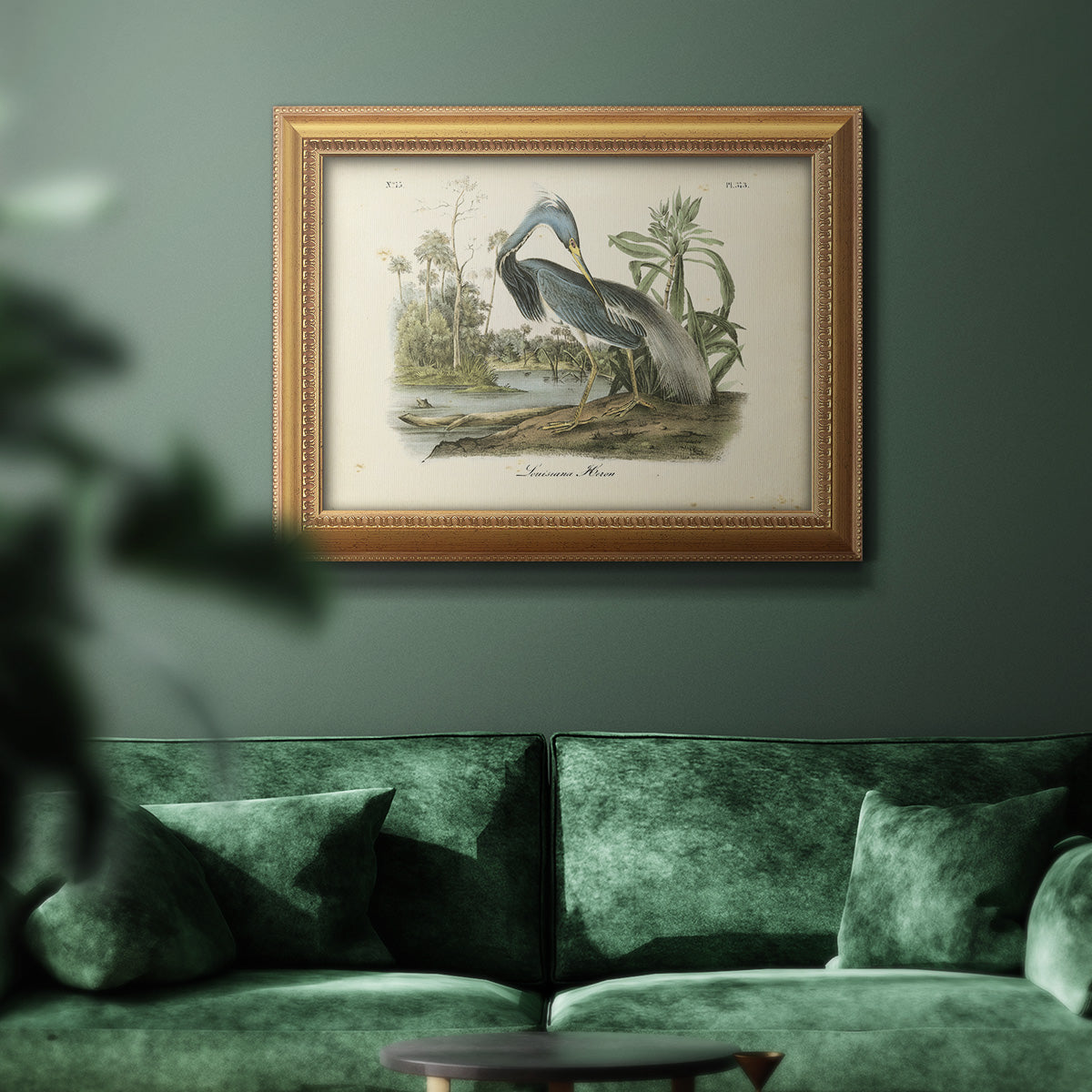 Audubons Louisiana Heron Premium Framed Canvas- Ready to Hang