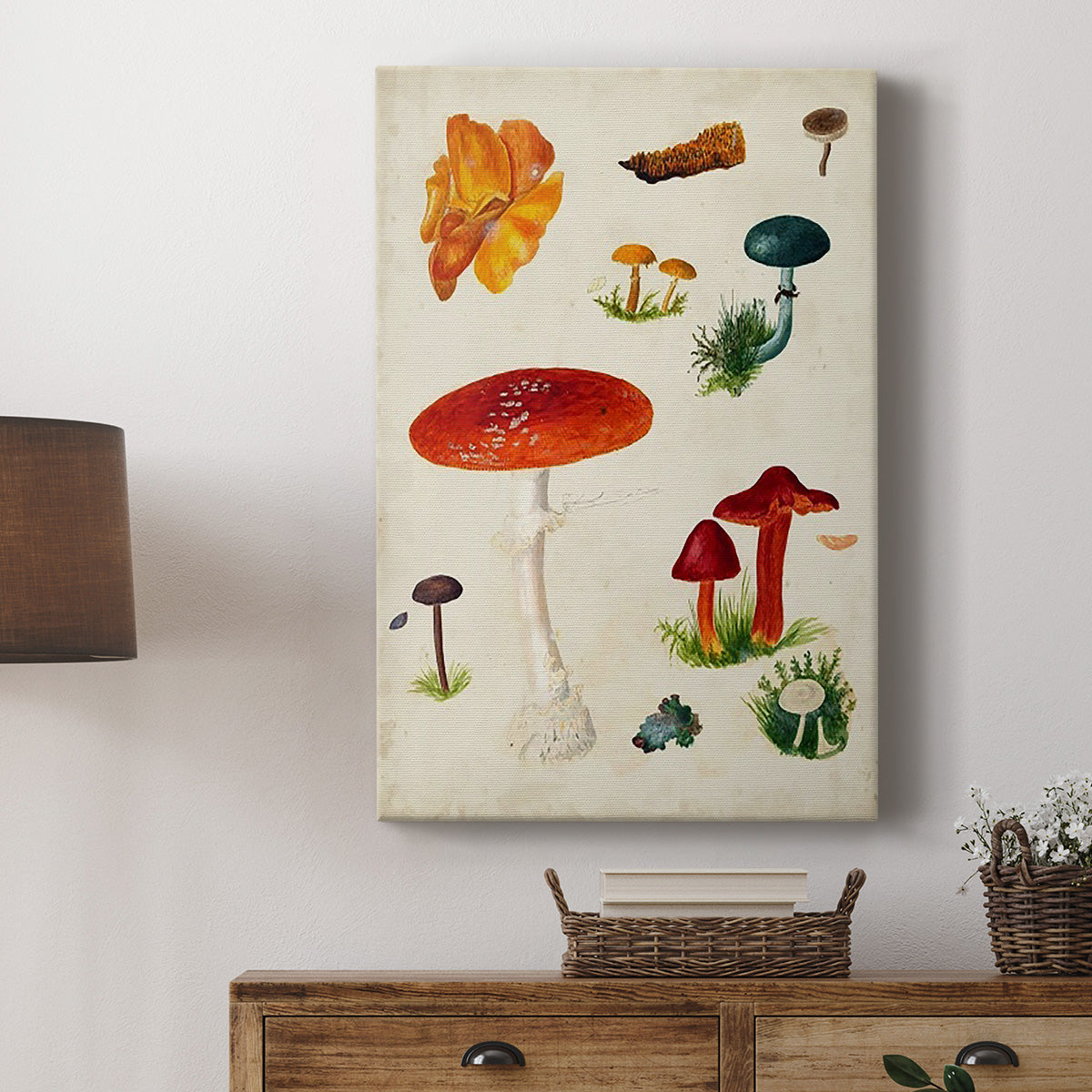 Mushroom Species VIII - Canvas Art Print