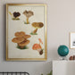 Mushroom Species V - Modern Framed Canvas Print