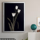 Tulip Pose I - Modern Framed Canvas Print