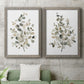 Neutral Eucalyptus I - Premium Framed Canvas 2 Piece Set - Ready to Hang