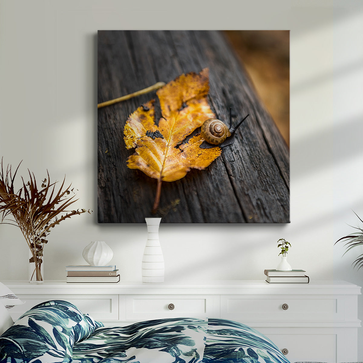 Snail's Pace - Canvas Art Print