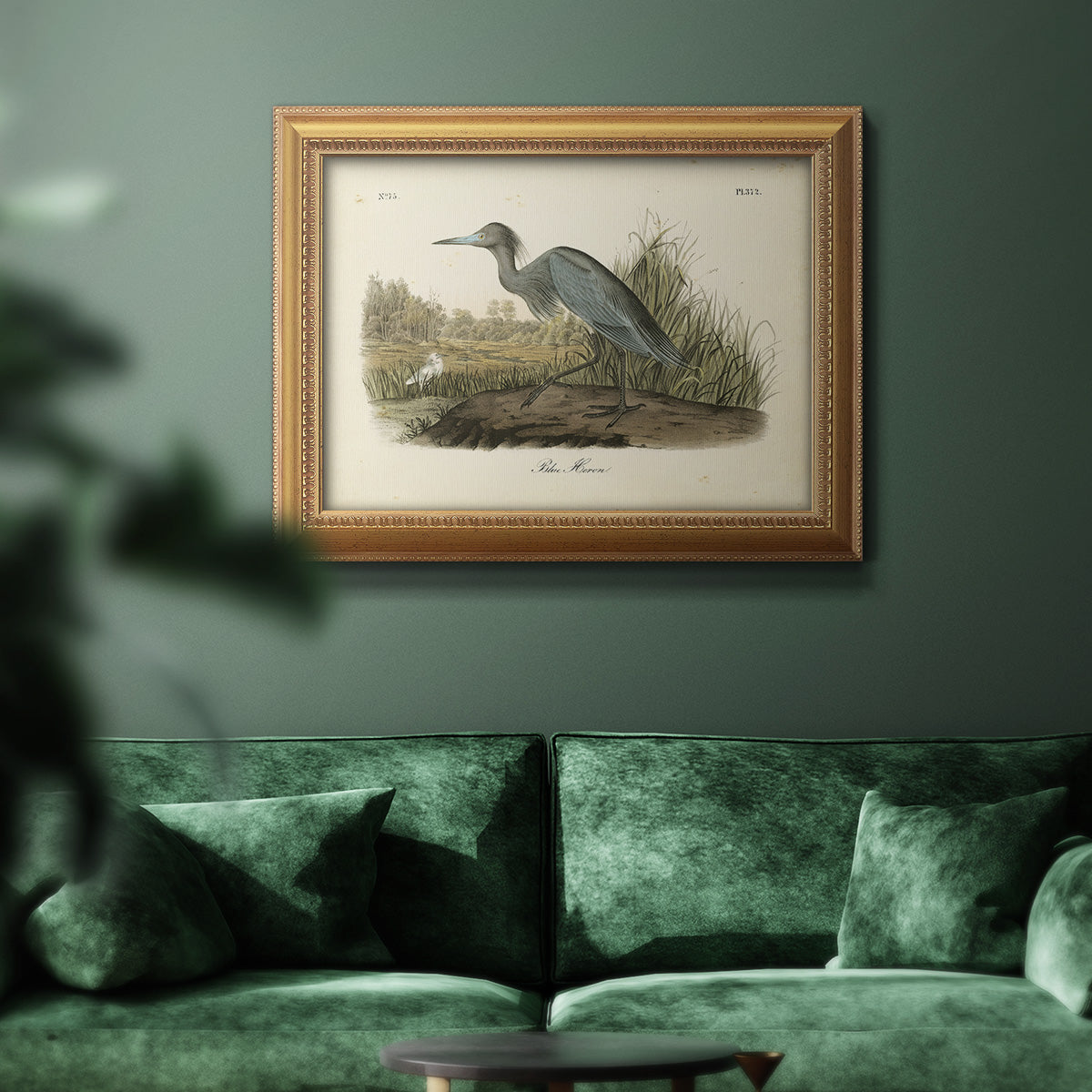 Audubons Blue Heron Premium Framed Canvas- Ready to Hang