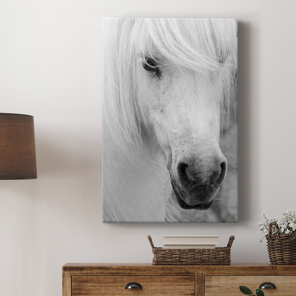 Island Pony I - Canvas Art Print